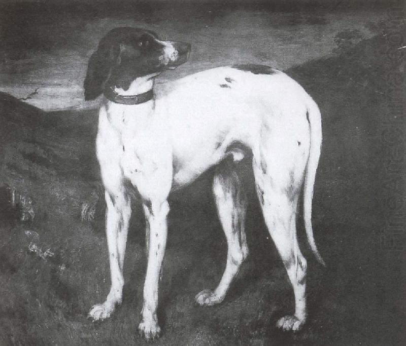 Dog, Gustave Courbet